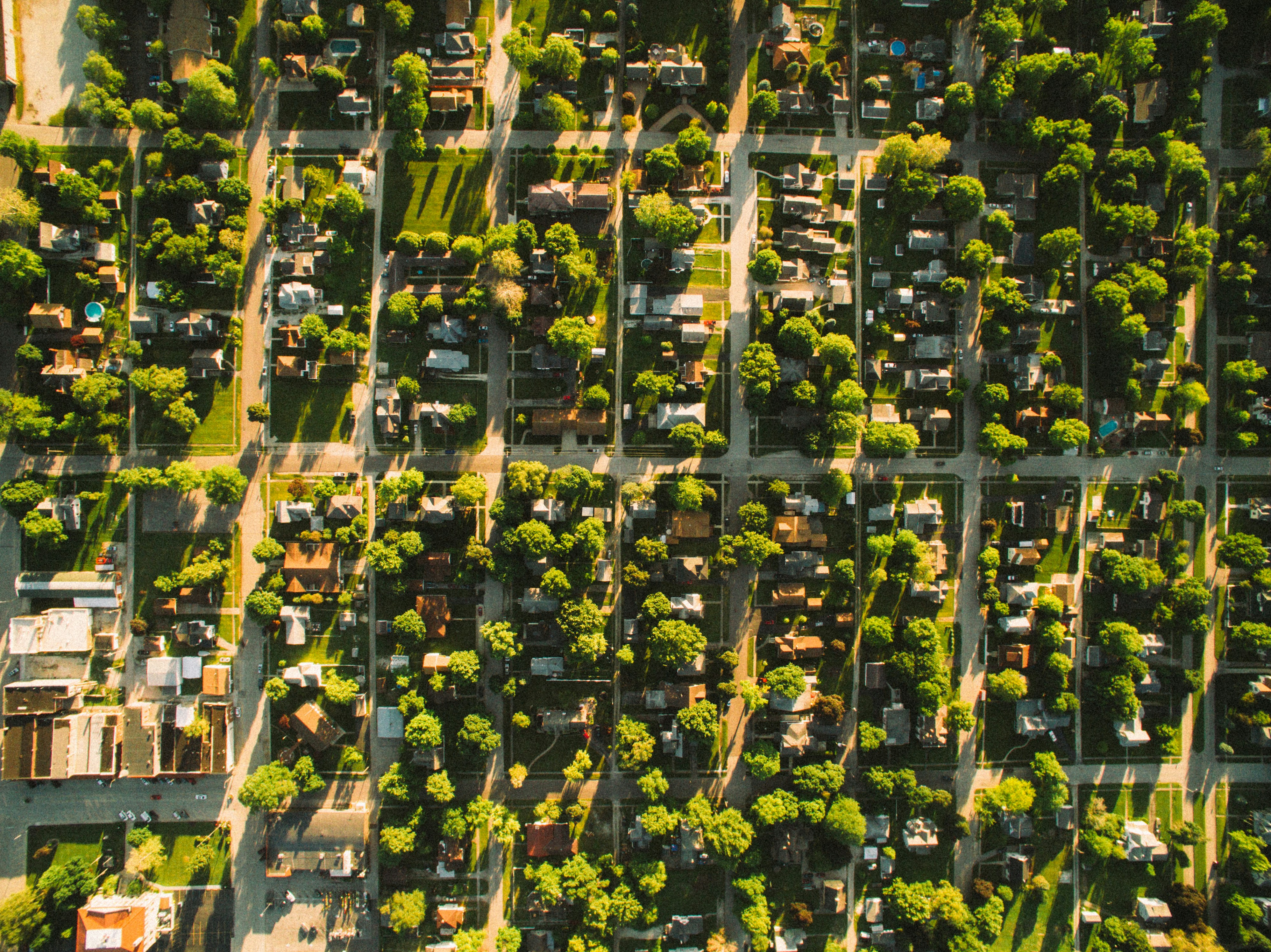 Aerial view of a residential neighborhood with houses, trees, and intersecting streets casting long shadows.